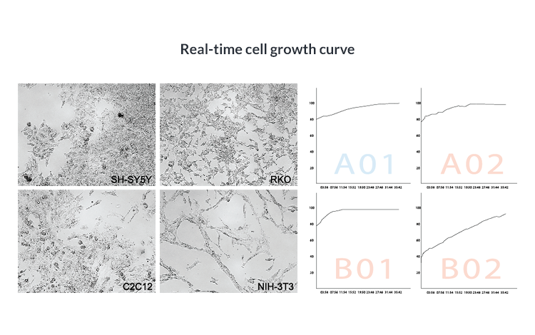 Real-time cell growth curve